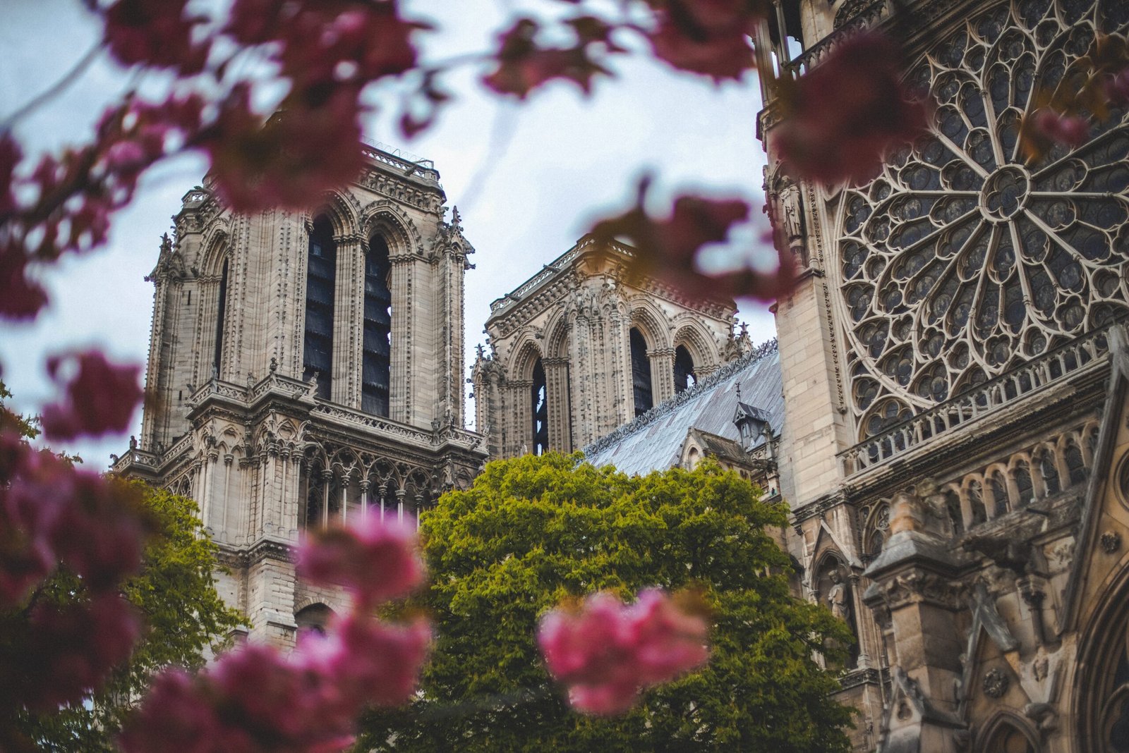 Cathédrale Notre-Dame