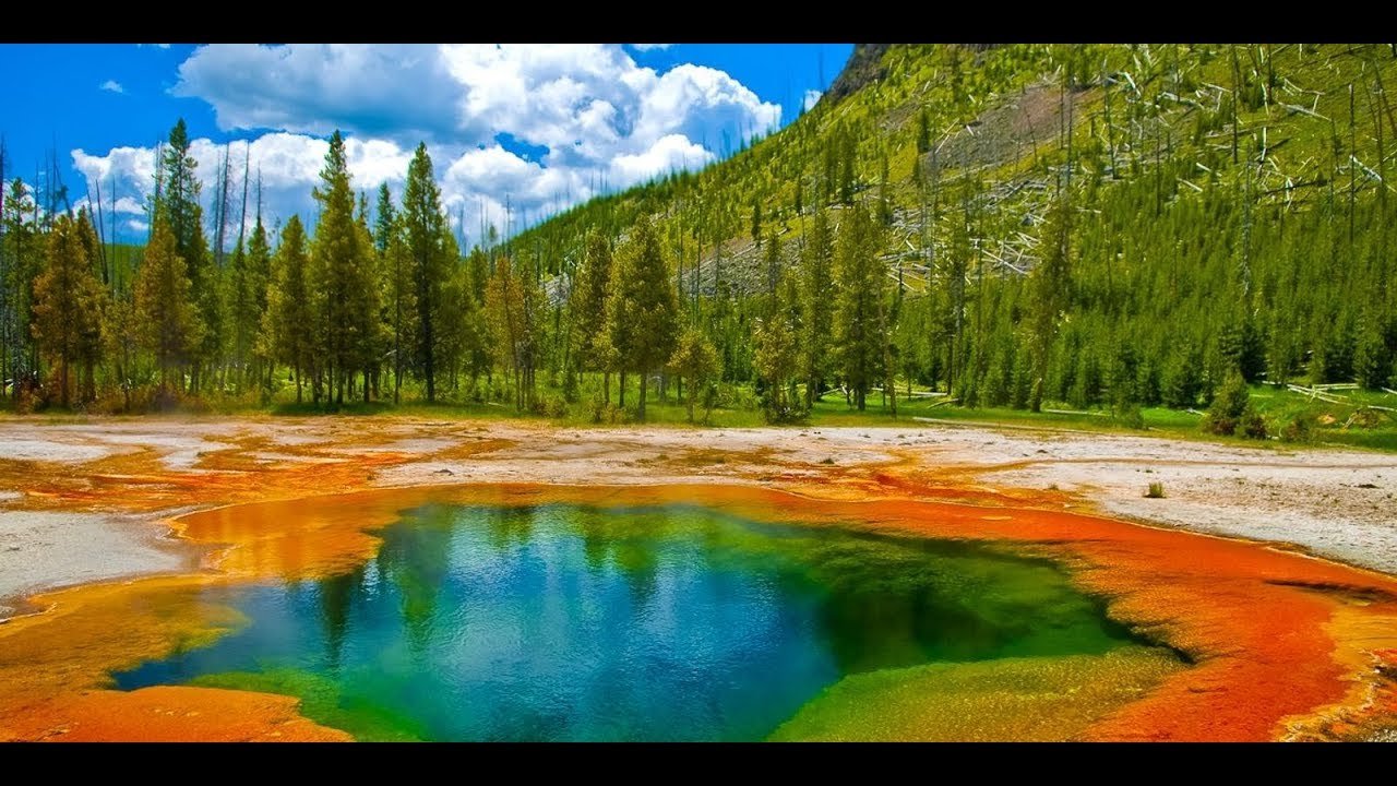 Yellowstone National Park