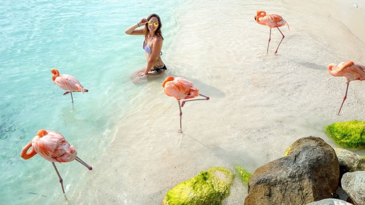 20 Best Things To Do In Aruba Island