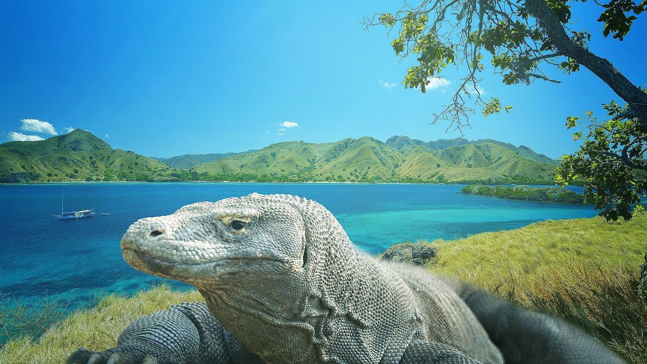 Komodo Island