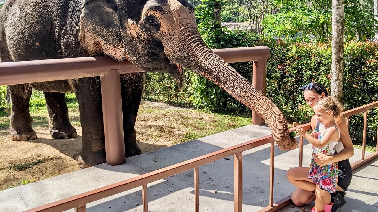 Mason Elephant Sanctuary Bali