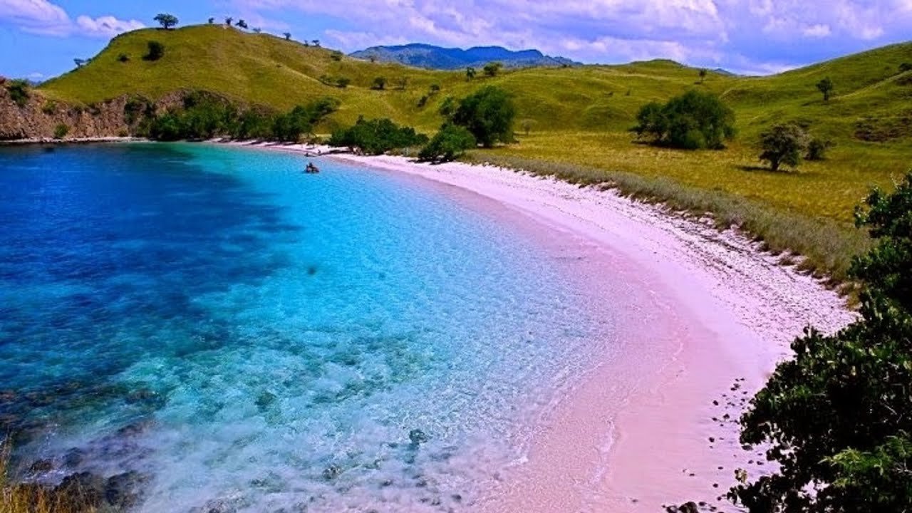 Pink Beach Komodo Island