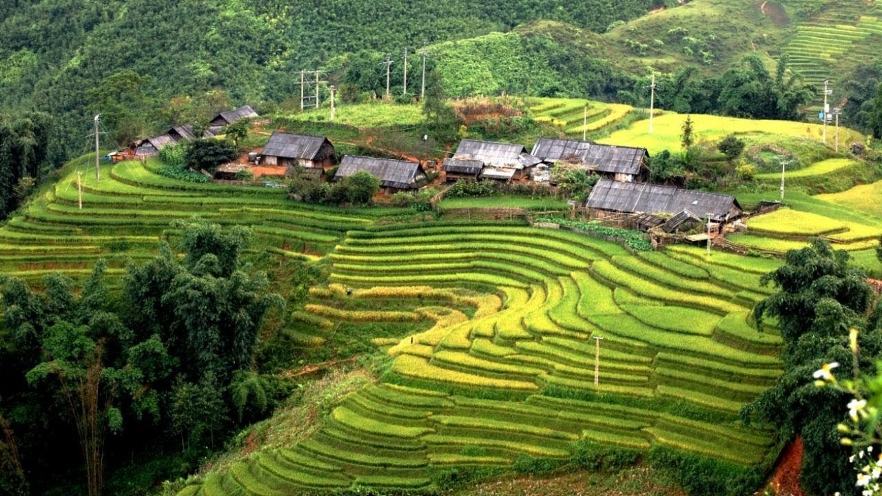 Vietnam Incense Village Tour