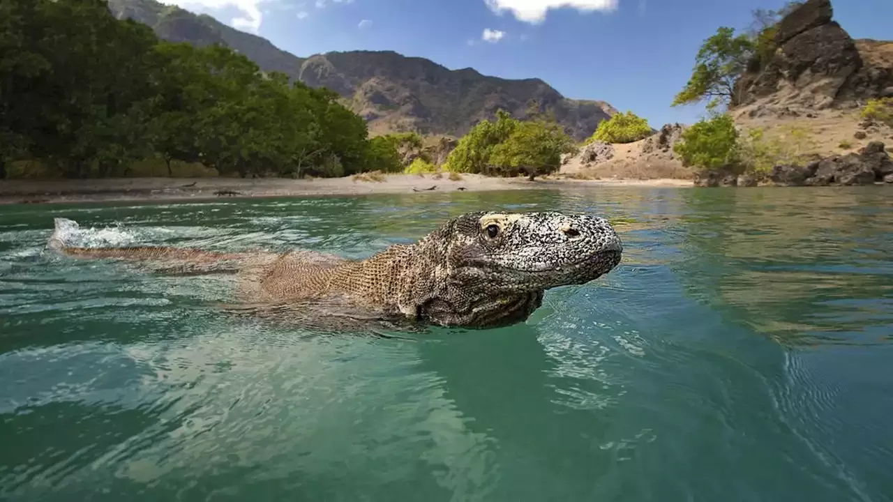 Komodo Island