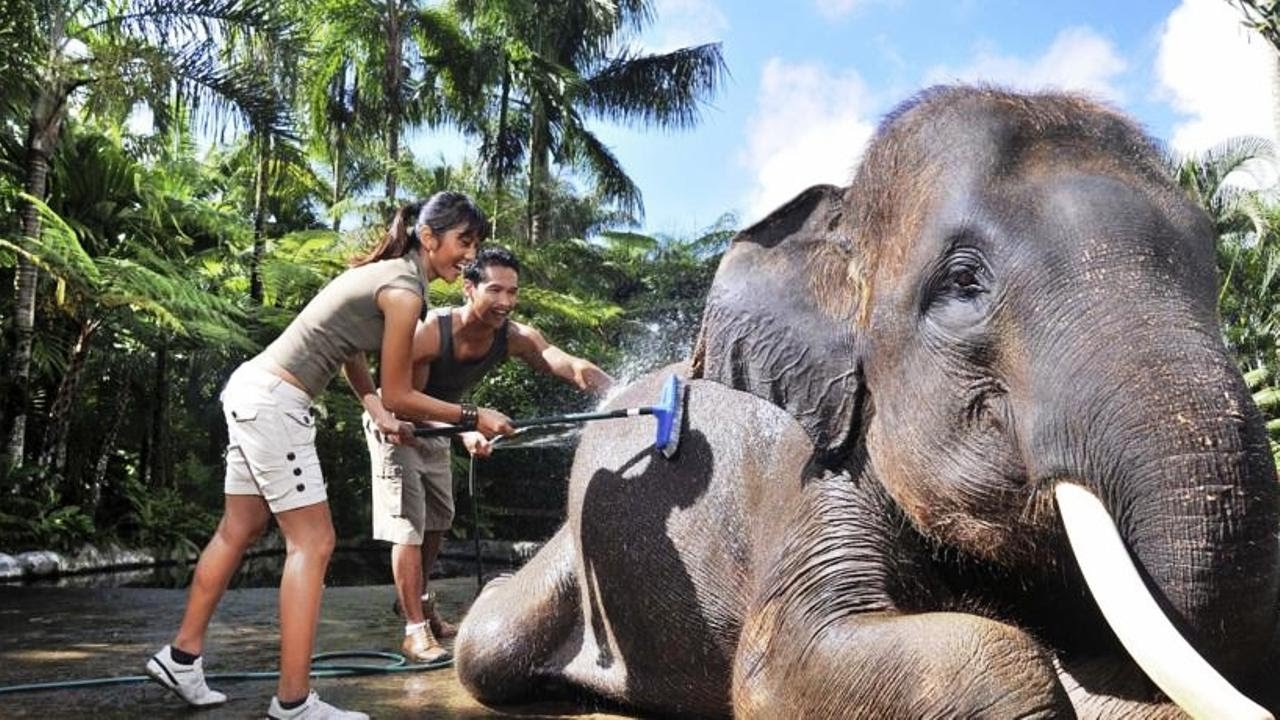 Mason Elephant Sanctuary Bali