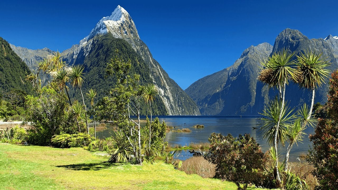 How to Travel New Zealand on a Budget