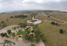 The Cradle of Humankind