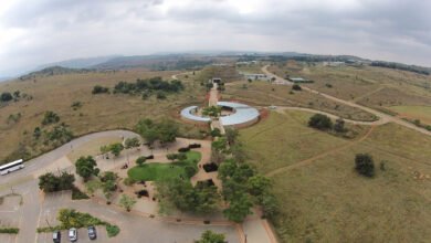 The Cradle of Humankind