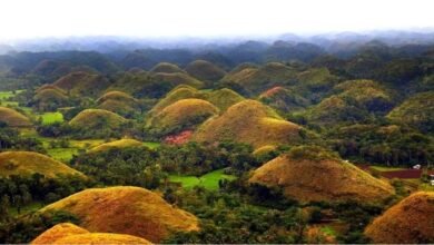 Bohol Philippines Island Travel Guide