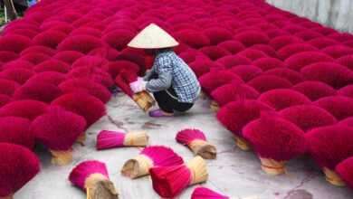 Vietnam Incense Village Tour