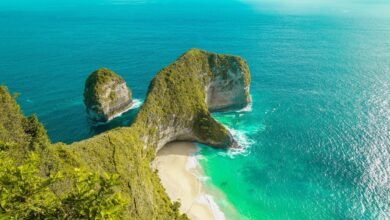 Nusa Penida Tour