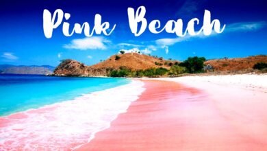 Pink Beach Komodo Island